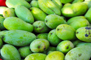 Mango  Sour taste and sweet fruits with high season from tropical trees in garden