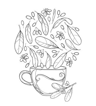 Vector cup of Cocaine plant or Erythroxylum coca herbal tea. Ornate outline leaf, fruit and flower in black isolated on white background. Contour Coca plant for summer design and coloring book. 