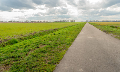 Long country road in a rural landscape