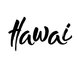 Fototapeta na wymiar hawai, text design. Typography poster. Usable as background. Modern brush calligraphy. Ink hand lettering. Vector
