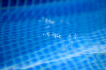 art photo of dandelion close-up on blue background