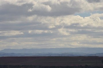 Paisaje con melocotoneros en flor, frutales, rosa, en primavera