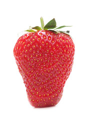 Strawberry fruit