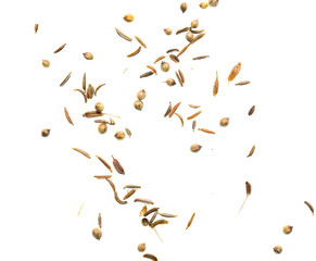 Sesame seeds with bread on white background