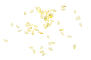 Sesame seeds isolated on white background