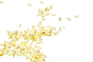 Sesame seeds isolated on white background