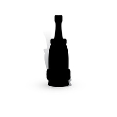 Wine Bottle Icon