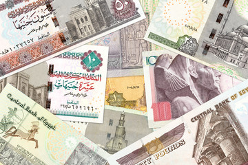 some egyptian pound bank notes