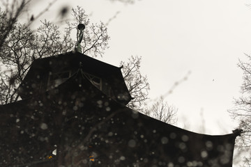 Rainy mood landscape fog trees road