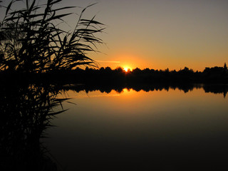 Fototapeta na wymiar tranquil sunset on the lake with a cane