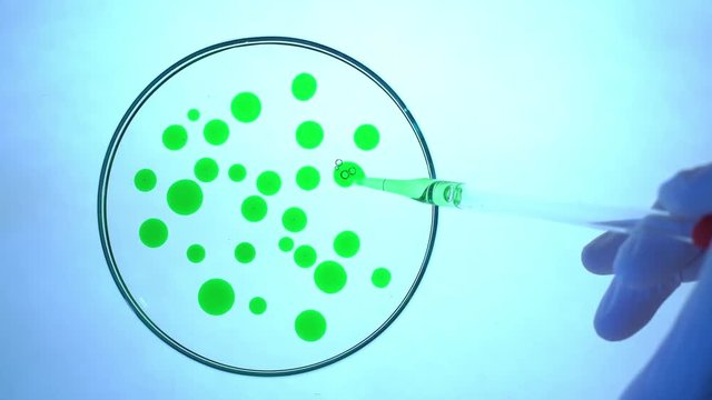 Chemical research in Petri dish. Laboratory pipette with green liquid.