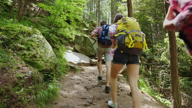Three tourists with backpacks climb up a steep rocky path in the forest. Adventure and active lifestyle concept
