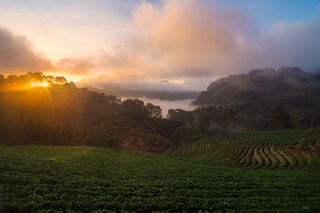 Mountain with mist.