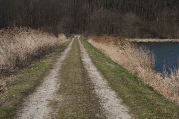 dirty road next to lke
