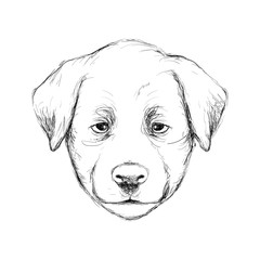 Outline hand-drawing animal head vector logo icon illustration
