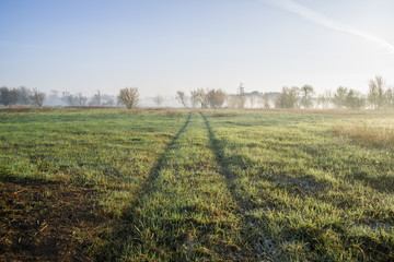 Ślady kół na Łące © Piotr Szpakowski