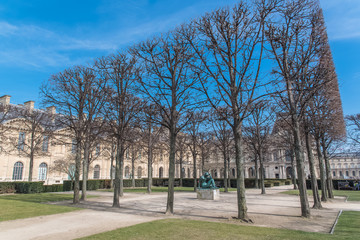 Paris, the Tuileries garden, spring in the public park
