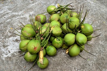 Bunch of coconut,Tropical fruit with green peel, Thailand