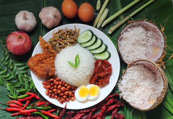 Asian food nasi lemak