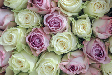Fototapeta premium Bouquet of beautiful white and pink roses, close-up, top view. Roses background.