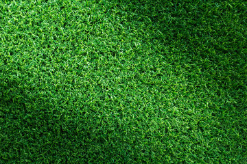 Obraz premium Grass field texture for golf course, soccer field or sports background concept design. Artificial grass.