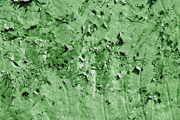 Grungy cement wall in green tone.