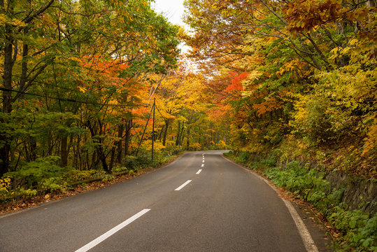 Mountain road at Hachimantai area in autumn season.