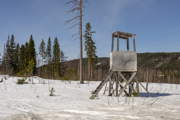 Hunting tower used fore moose hunting, on a winter day with snow and forest and blue sky in background