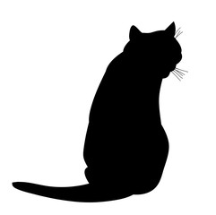 icon, silhouette cat sitting