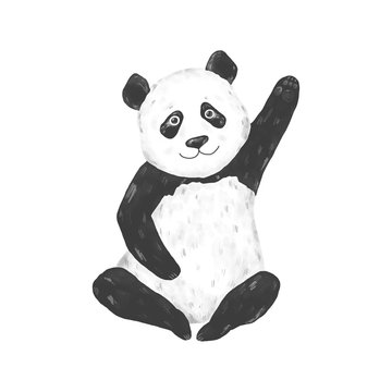 Panda clip art drawing animal illustration on white background cute animal