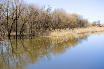 Spilling the river in the spring