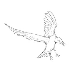 Outline hand-drawing animal head vector logo icon illustration
