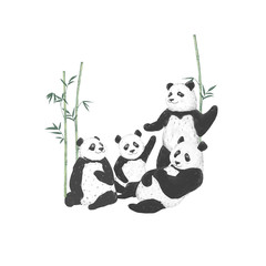 Pandas clip art drawing animal illustration on white background cute animal funny friends