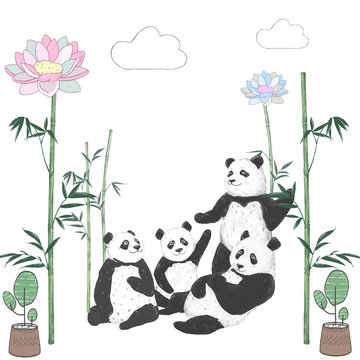 Pandas clip art drawing animal illustration on white background cute animal