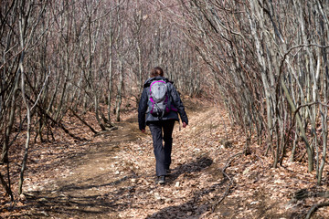 Fototapeta na wymiar Woman with backpack walking in forest