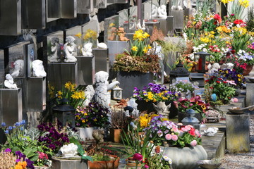 Fototapeta na wymiar At the Cemetery, am Friedhof, geschmückte Urnengräber im Frühling
