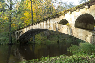 Fototapeta na wymiar Forest river and an abandoned bridge.