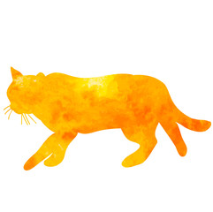  isolated, icon, orange watercolor silhouette cat