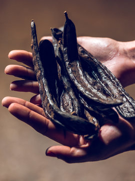 Carob factory