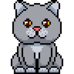 vector pixel art cat sit