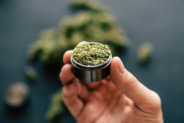 in hand a grinder to grind marijuana weed against a background of flowers of cannabis and scales...