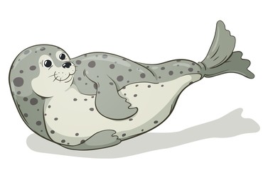 Obraz premium cartoon spotted seal vector image, hand-drawn illustration
