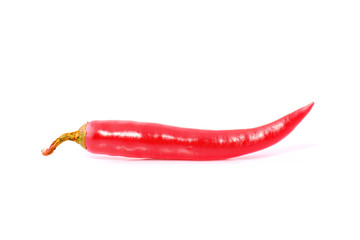 Red hot chilli pepper isolated on a white background
