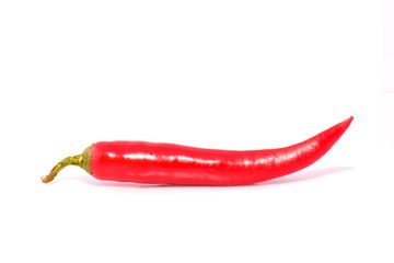Red hot chilli pepper isolated on a white background