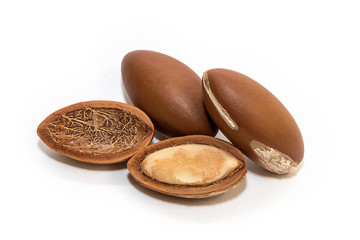 Argan oil. Argania Spinosa