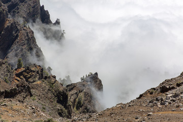 In NP Caldera de Taburiente, La Palma Island.