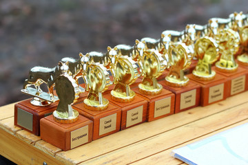 Row of golden trophy cups for dog competition. Russian lettering saying 