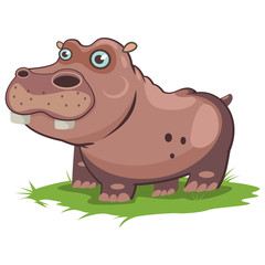 Hippo animal cartoon vector illustration isolated on white background.