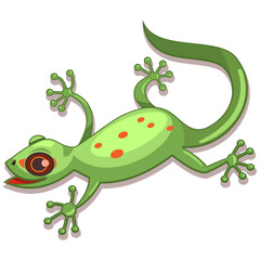 Gecko reptile cartoon vector illustration isolated on white background.