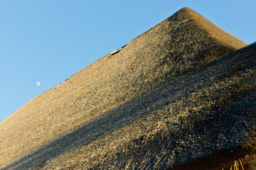 Reetdach eines Haubargs auf Eiderstedt